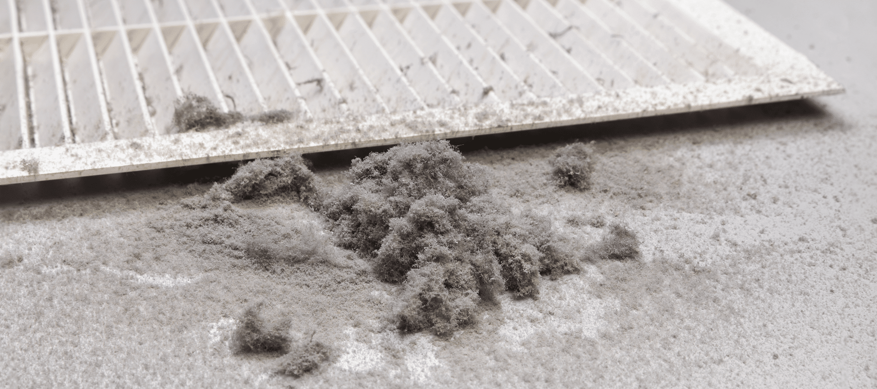 closeup of a cluster of dust that has accumulated sitting next to an hvac vent